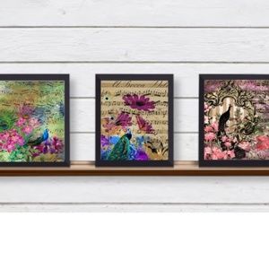 Set of 3 Stunning UNFRAMED Antique Peacock Illustrations Wall Art Prints Musical